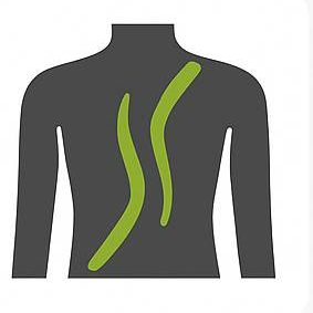 Kinesio Taping & Schröpfmassage Lübeck – Körperwerkstatt Unterstützende Taping-Techniken, Schröpf- und Bindegewebsmassagen zur Muskelentspannung, Faszienpflege und Regeneration.